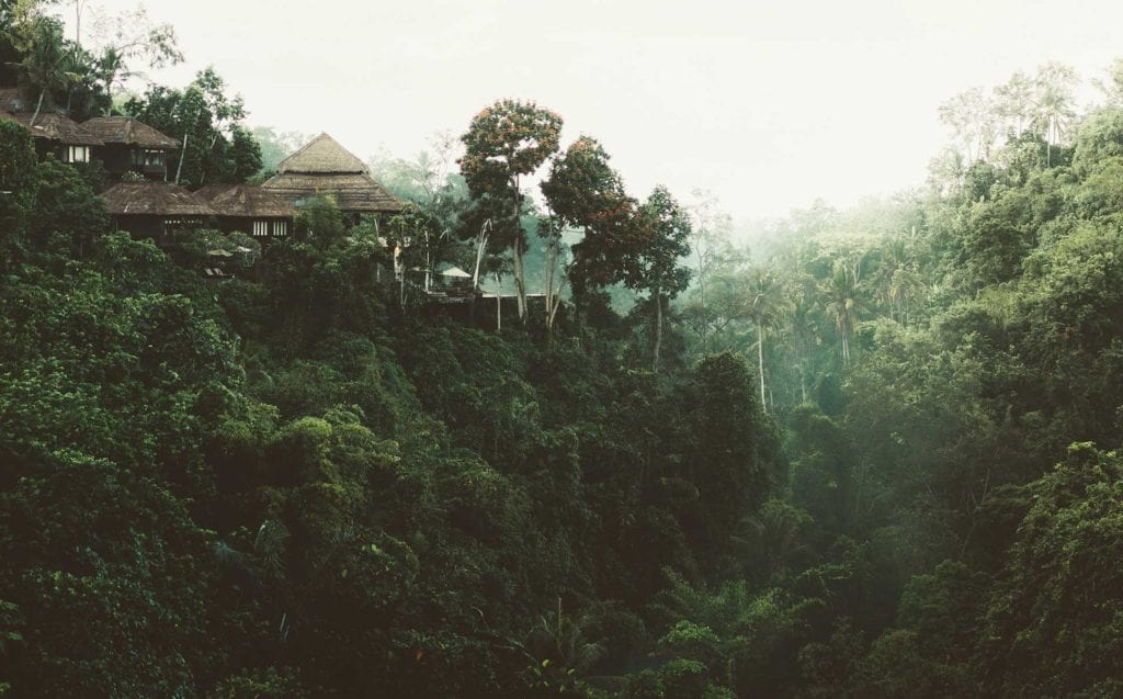 Borneo adventure