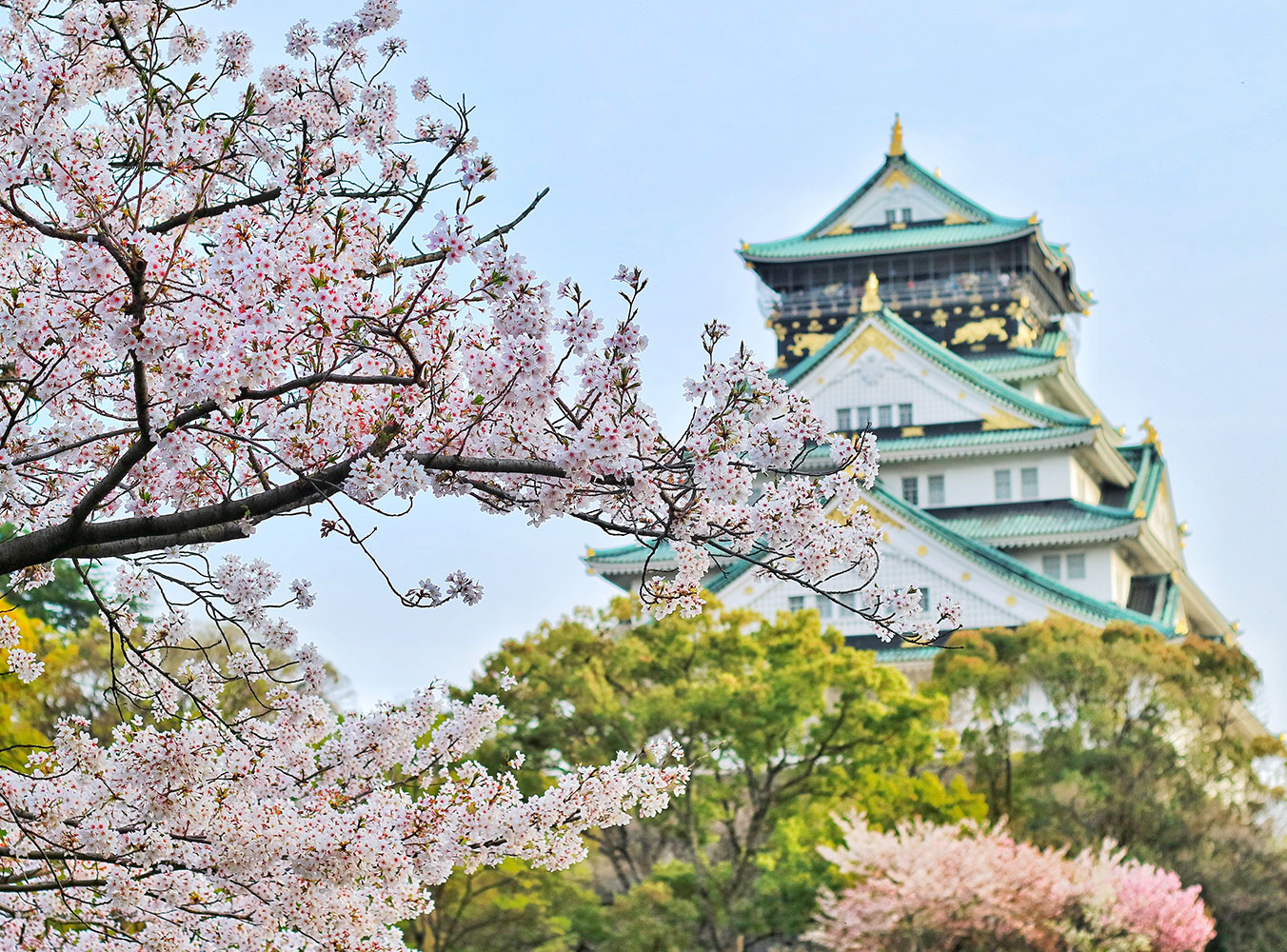 Osaka Insider: A Travel Guide for Osaka Prefecture [洋書] Osaka Insider: Local Travel Guide to Osaka, Japan (Japan
