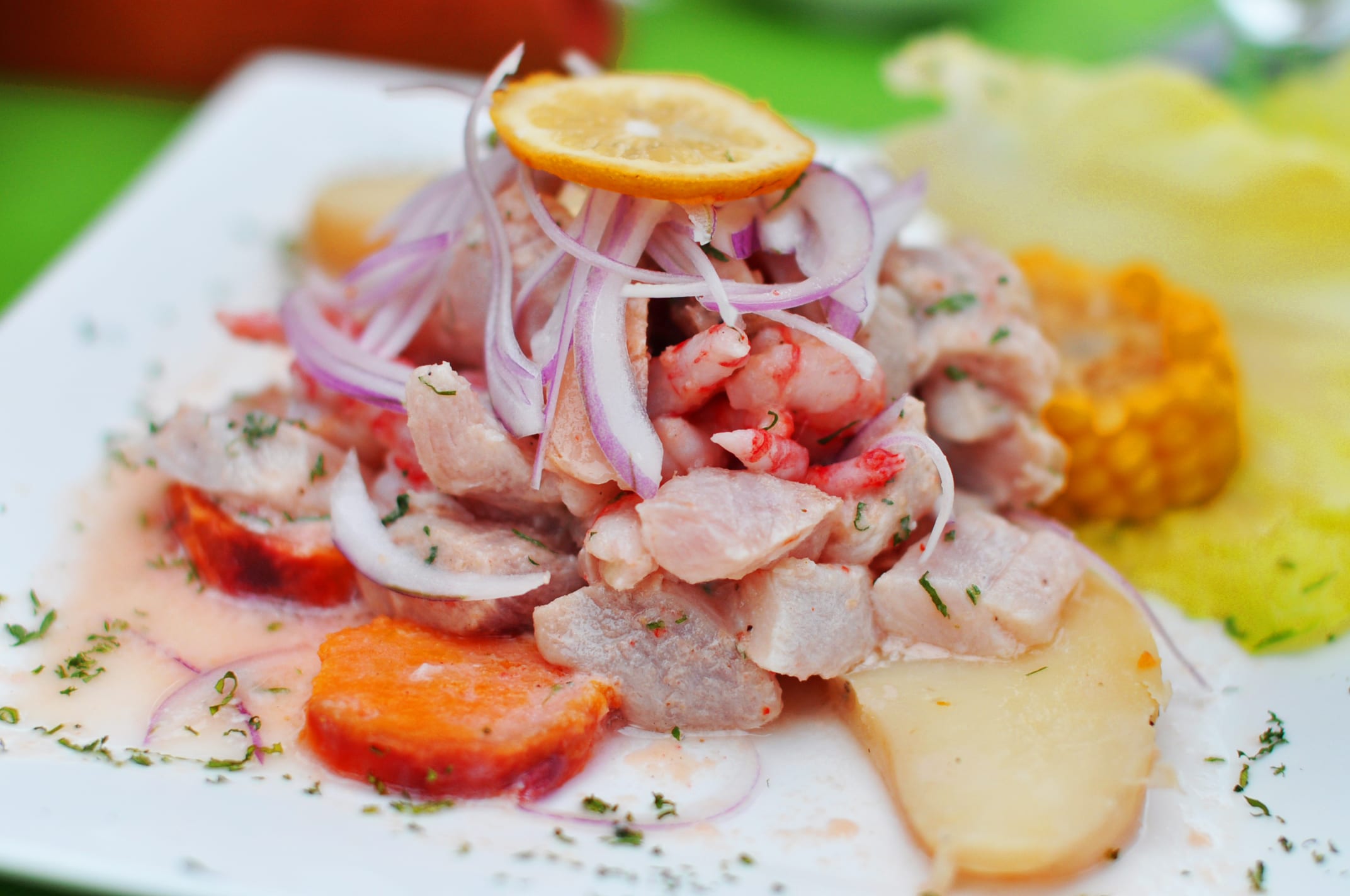 7. Ceviche - Peru. 17 Delish Street Foods to Try Before You Die – THE FLASH PACK