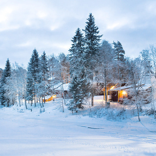 Watch the Northern Lights from Vartiosaari in Finland