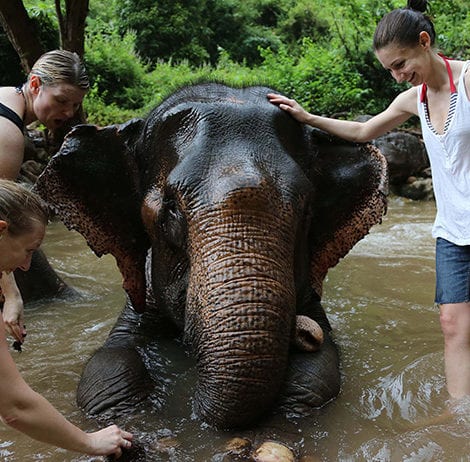 Green Hill Valley Elephant Camp