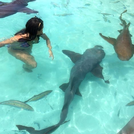 Belize Barrier Reef