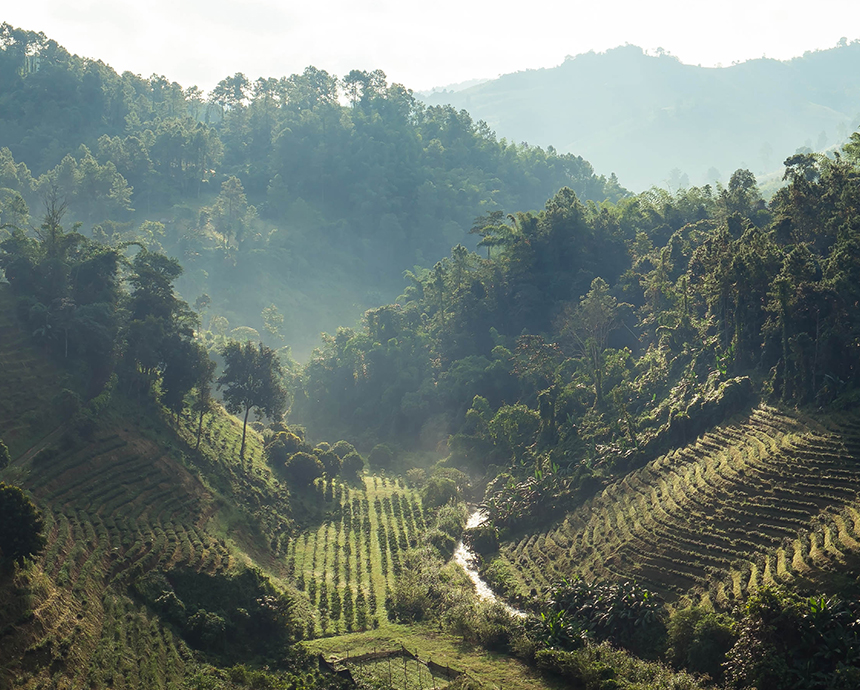 North Thai highlands