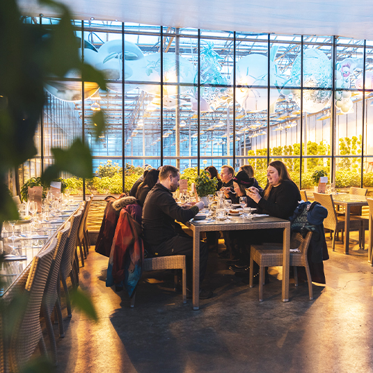 Unknown Iceland | Solo Travel Iceland | Flash Pack