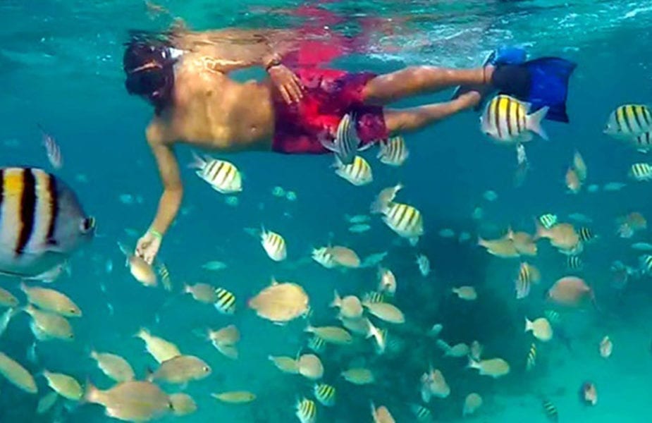 Shark Ray Alley