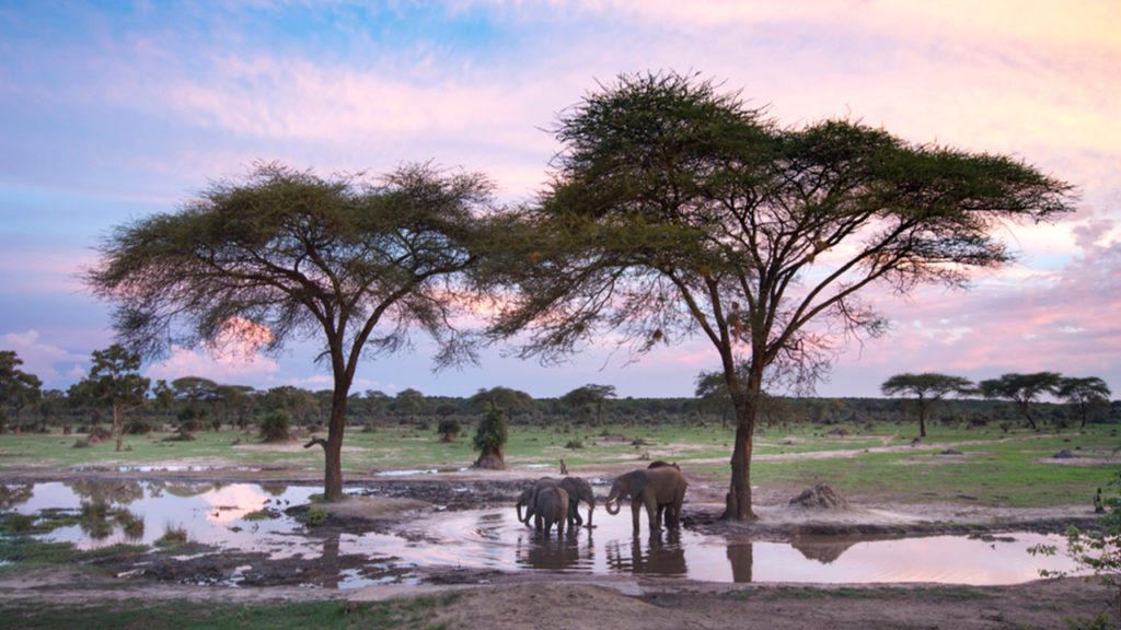 Hwange National Park