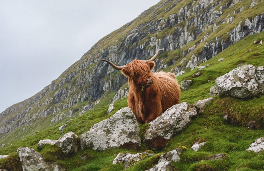 Mountain hiking in Scotland