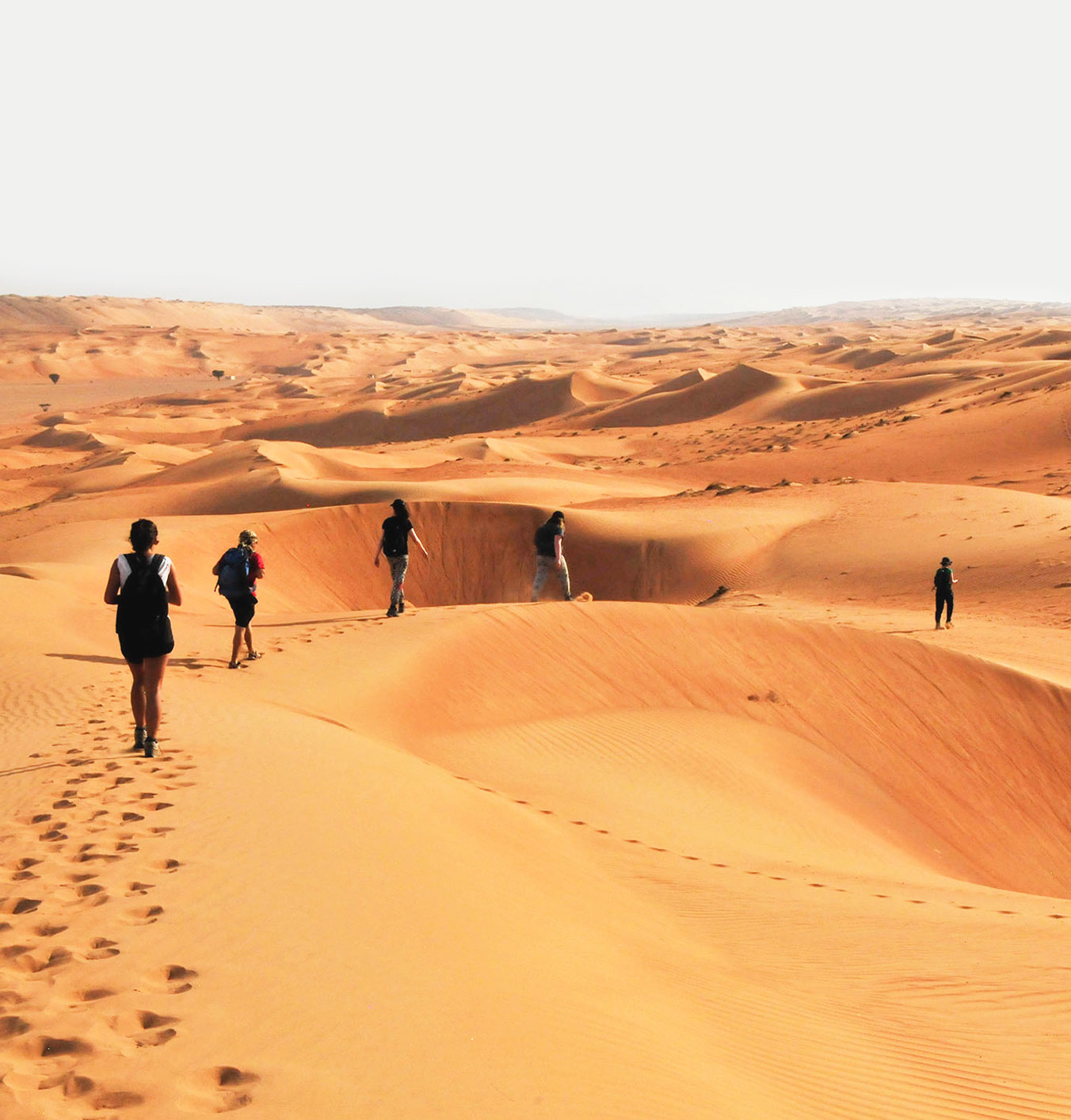Explore the wild frontiers of Oman