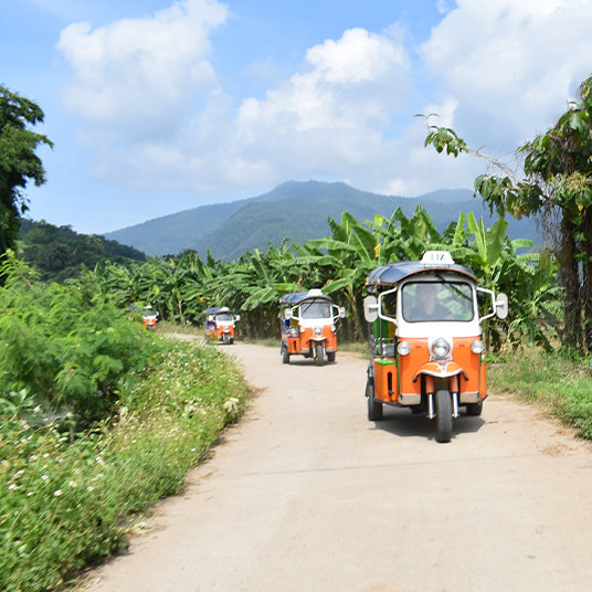 Orange and white tuk tuks in Chiang Mai