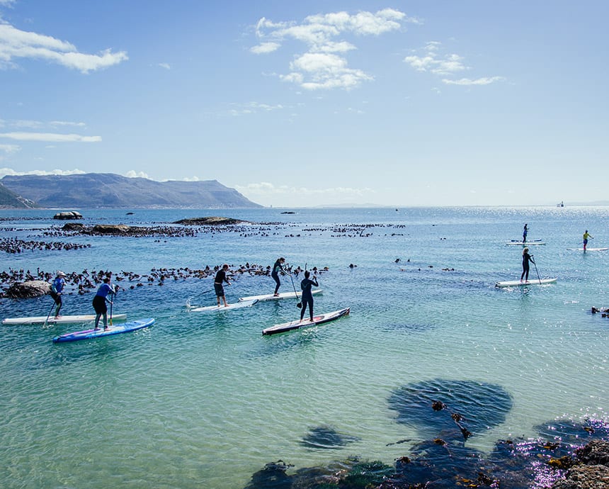 South Africa & Cape Town Holidays for singles over 30 Flash Pack