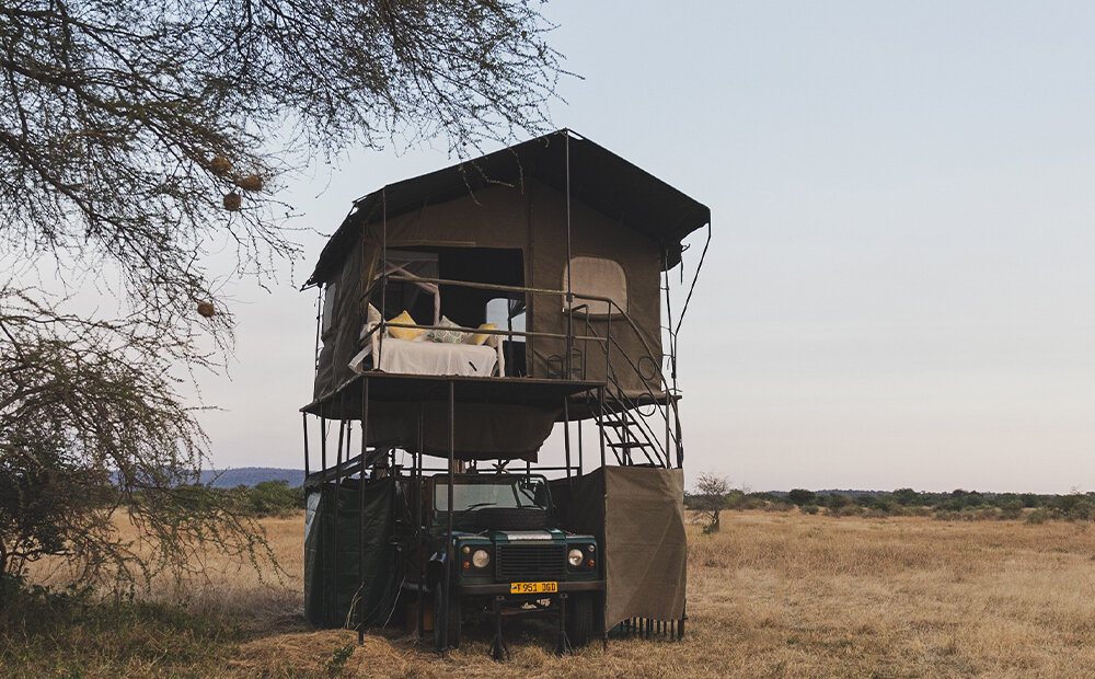 Image of Wild Tanzania