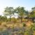 Zimbabwean eco lodge