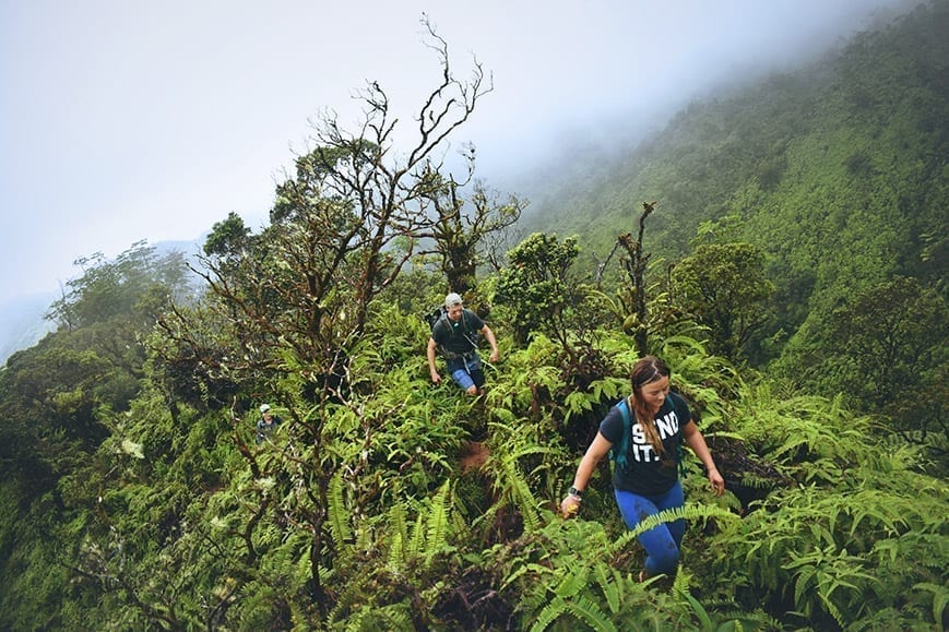Hiking in Belize