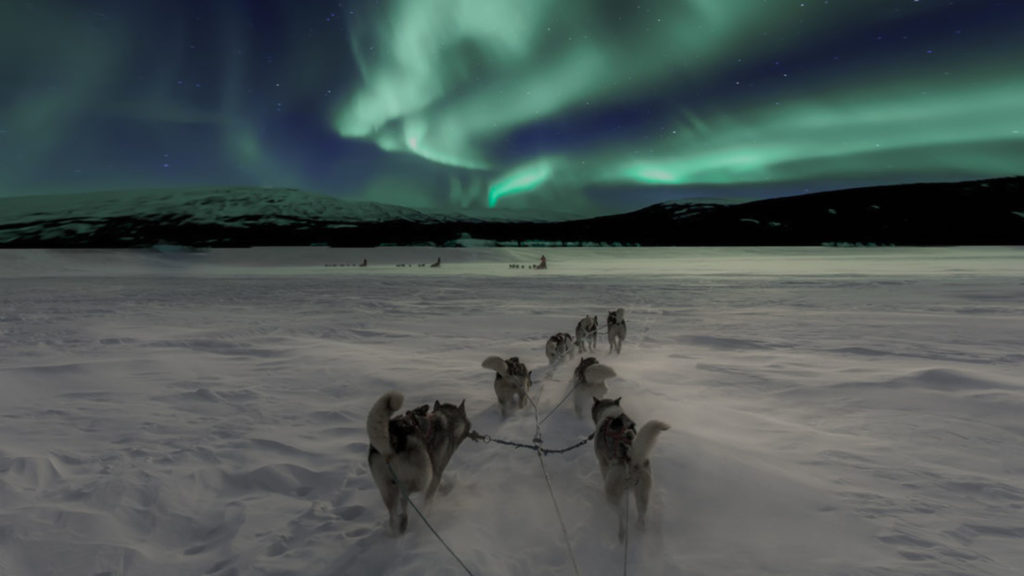 A team of husky dogs pulling a sleigh under the Northern Lights