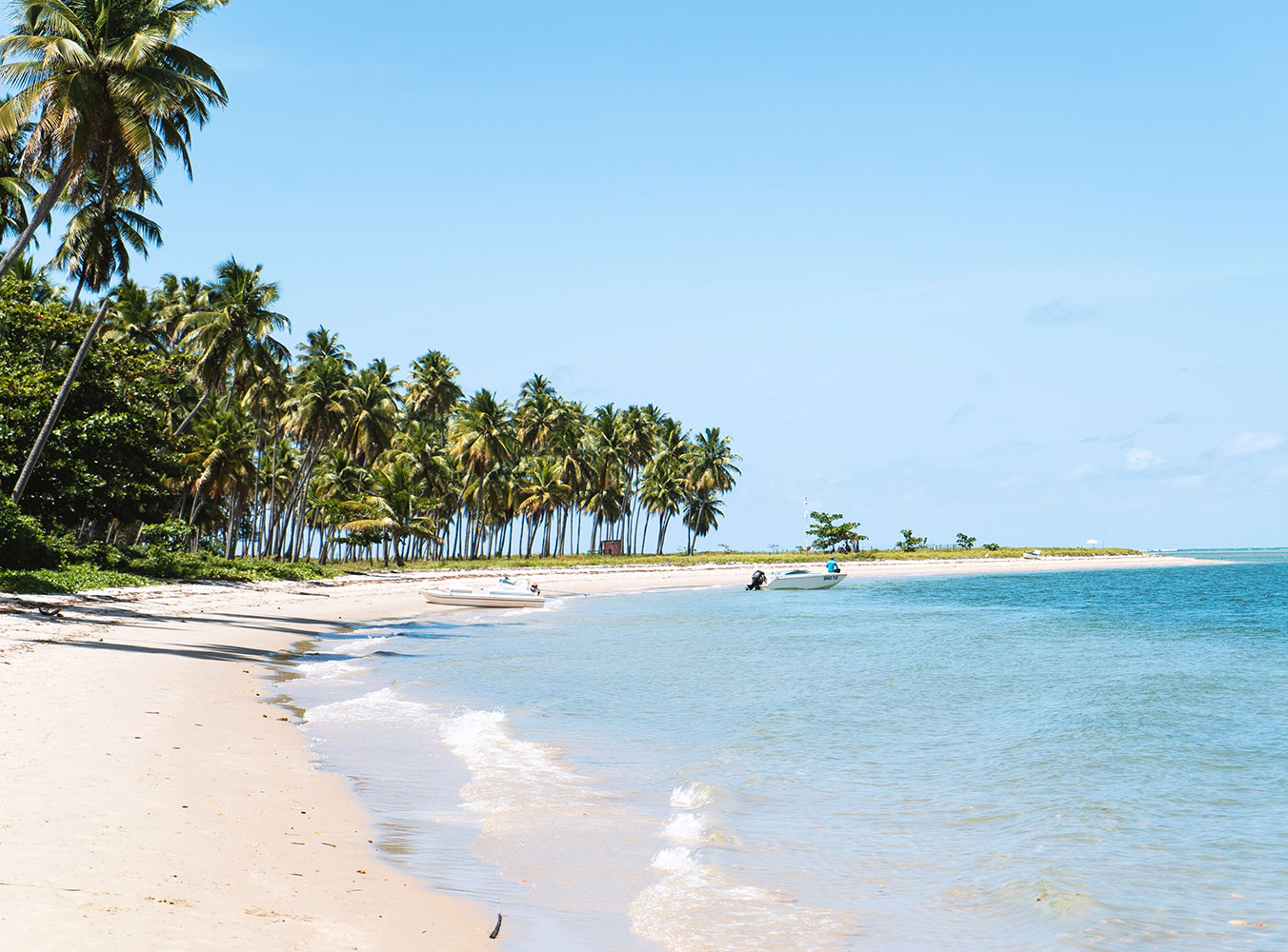 Five incredible things to taste and try in Brazil
