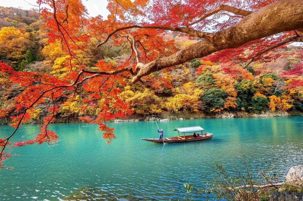 A Japanese Pleasure Boat being rowed down a river in Japan lined with autumnal trees