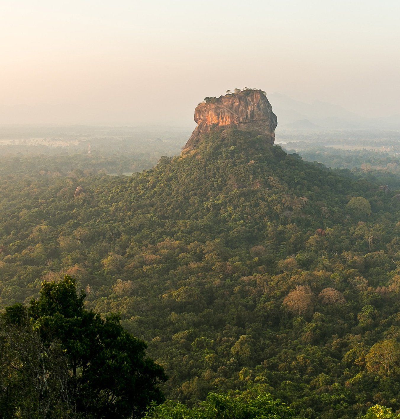 Meet Donald, Flash Pack’s guide in Sri Lanka