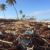 plastic pollution on beach