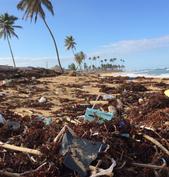 plastic pollution on beach