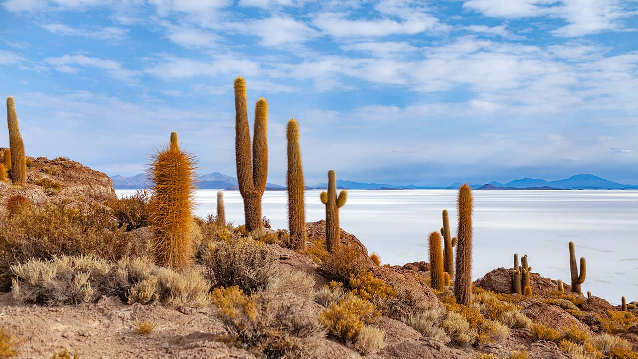 Uyuni Salt Flats