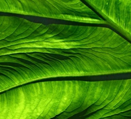 Inspiration for sustainable travel in March