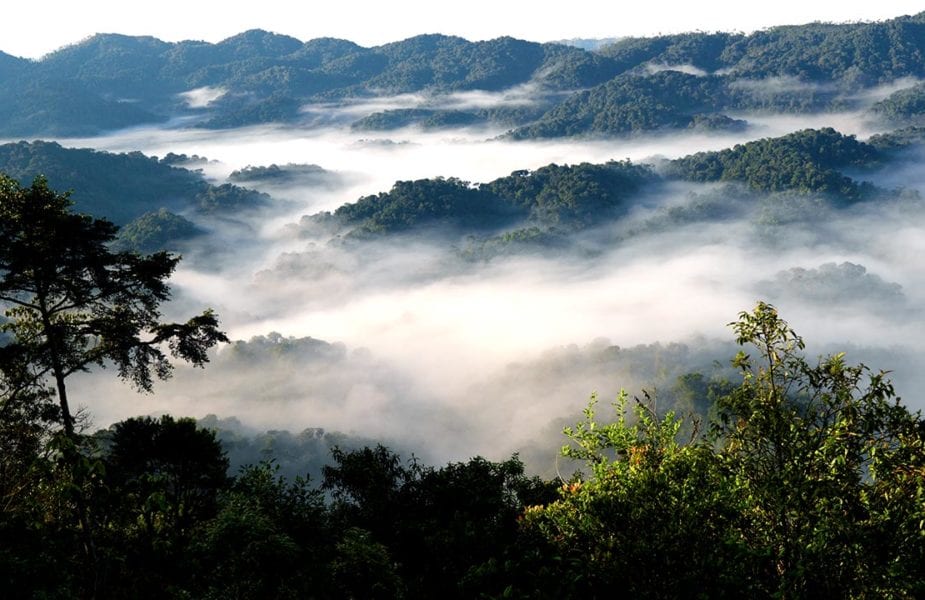 Nyungwe Forest, Rwanda