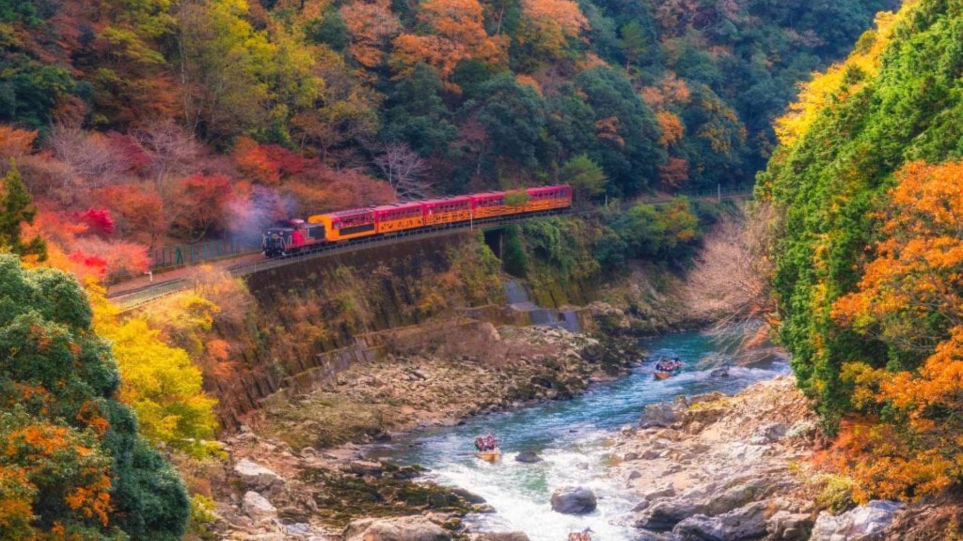 a train passing by the hozugawa river surrounded by autumn leaves in japan in september
