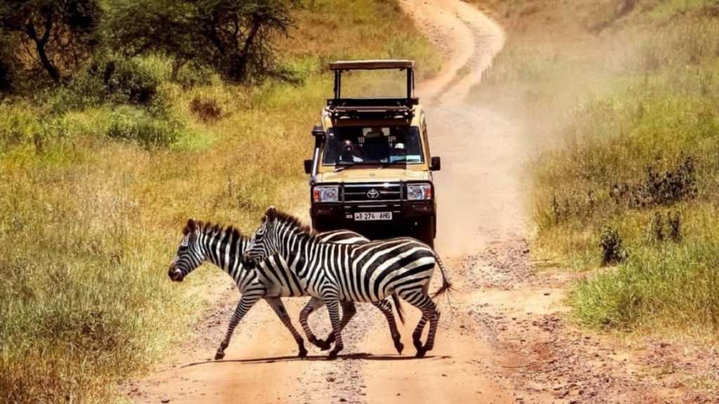 A game drive on the Serengeti, Tanzania