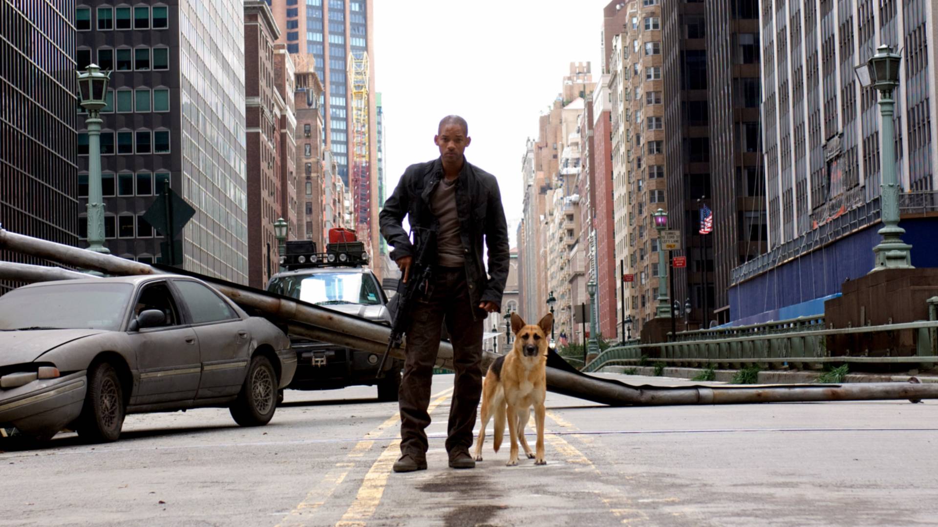 will smith and dog in i am legend showing that walking is great
