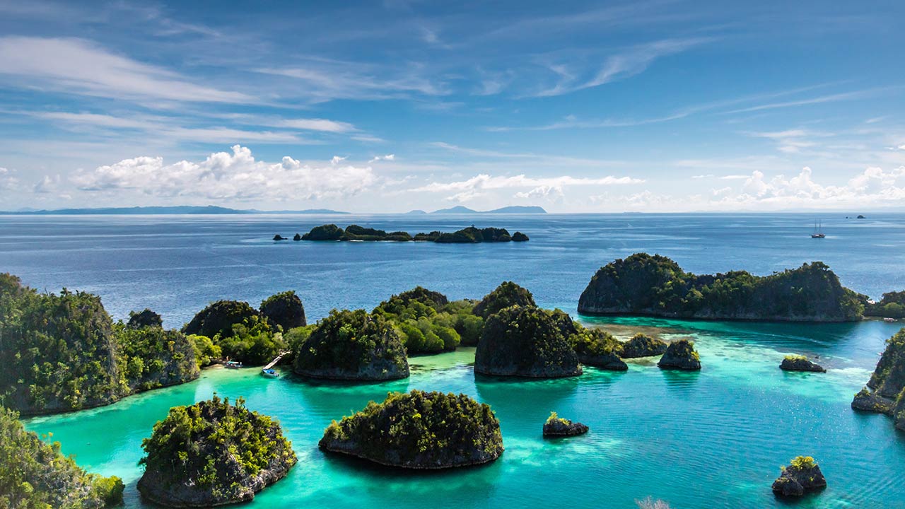 Raja Ampat is a good example of how we can save our oceans
