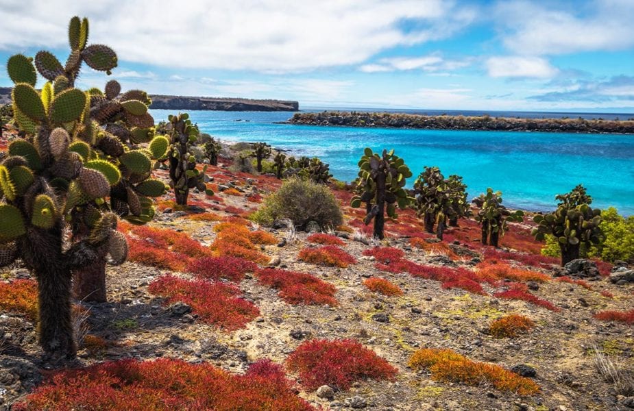 Galapagos, Ecuador