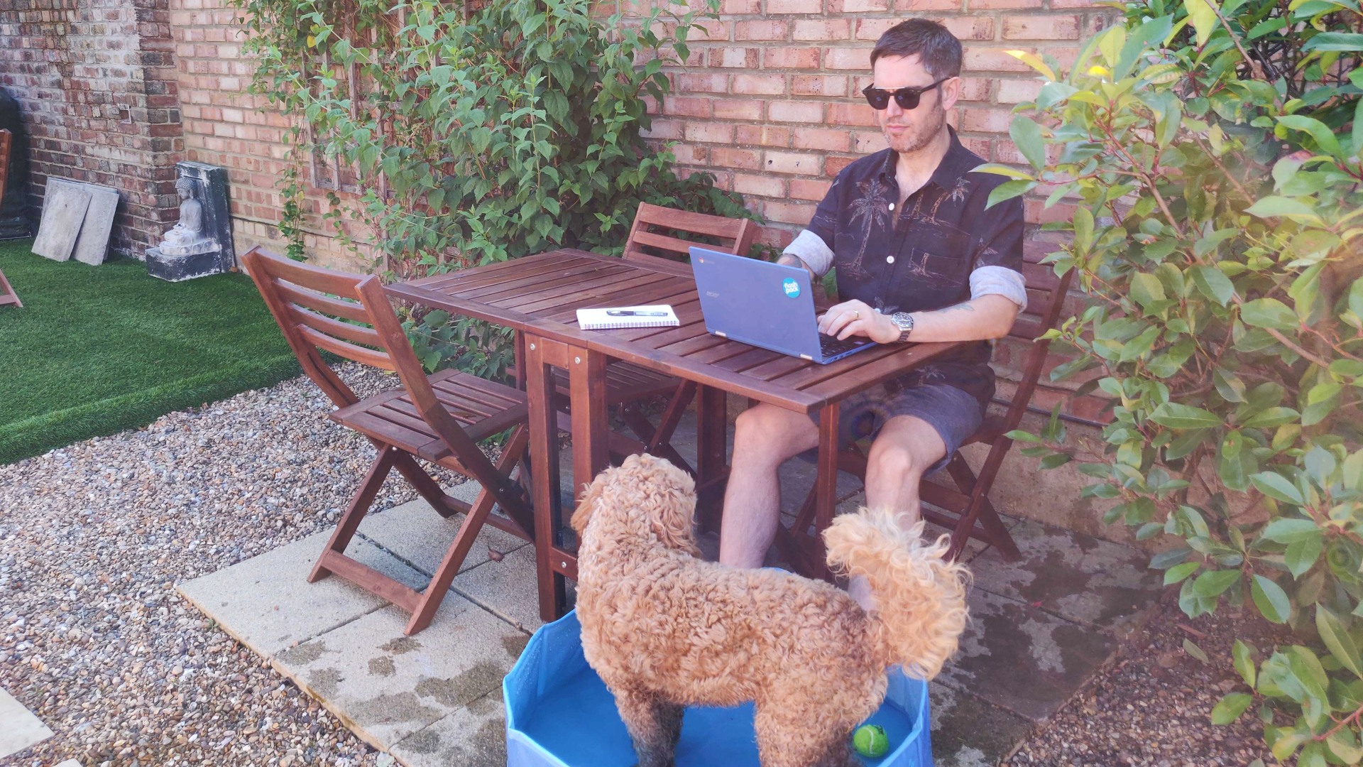 working from home with dog