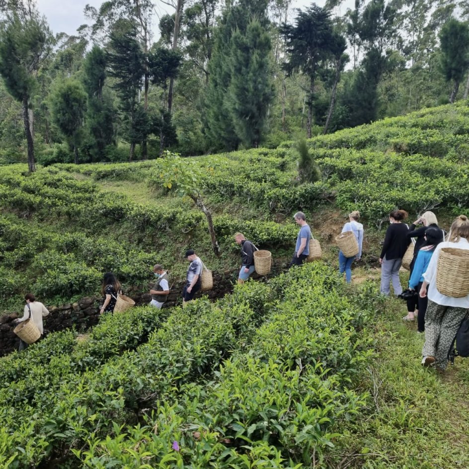 Solo Travel | Solo Vacation Packages | Flash Pack US