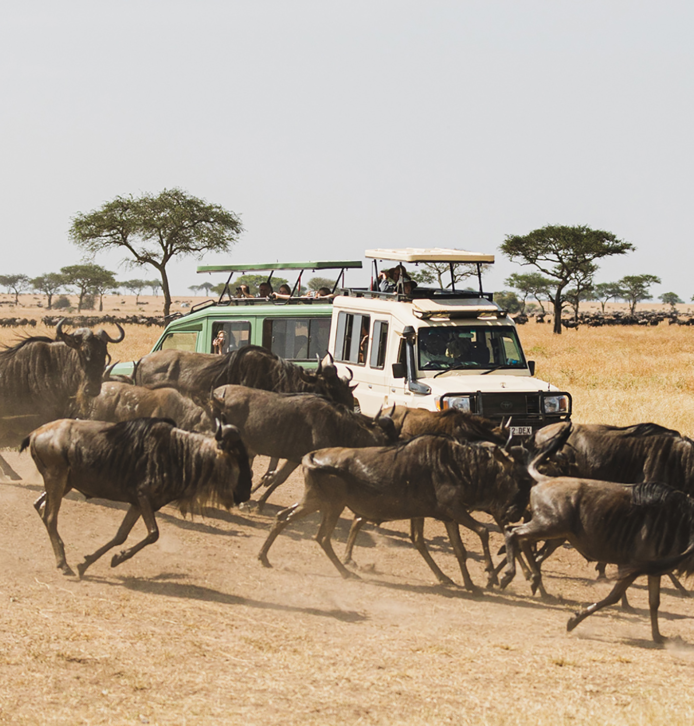 In focus: photographer Connor McCracken talks us through his recent Tanzania trip