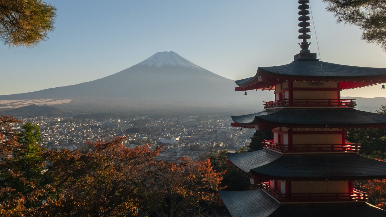 Laundry on the go: A Guide to Keeping your Clothes Clean while Traveling  Japan