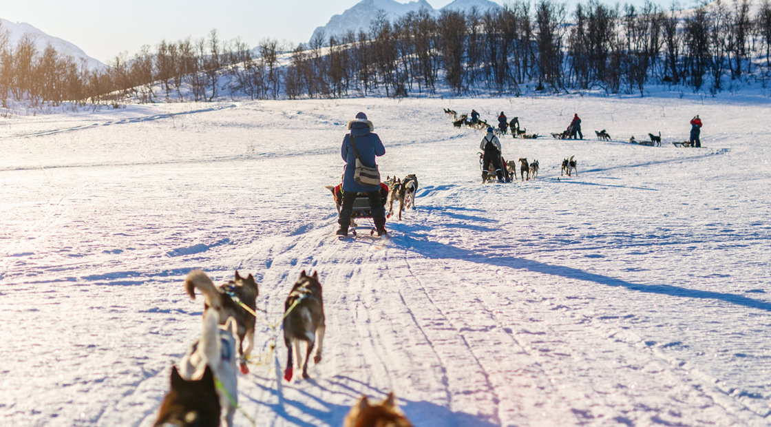 My 200-mile Arctic dog-sledding trip was the ultimate adventure