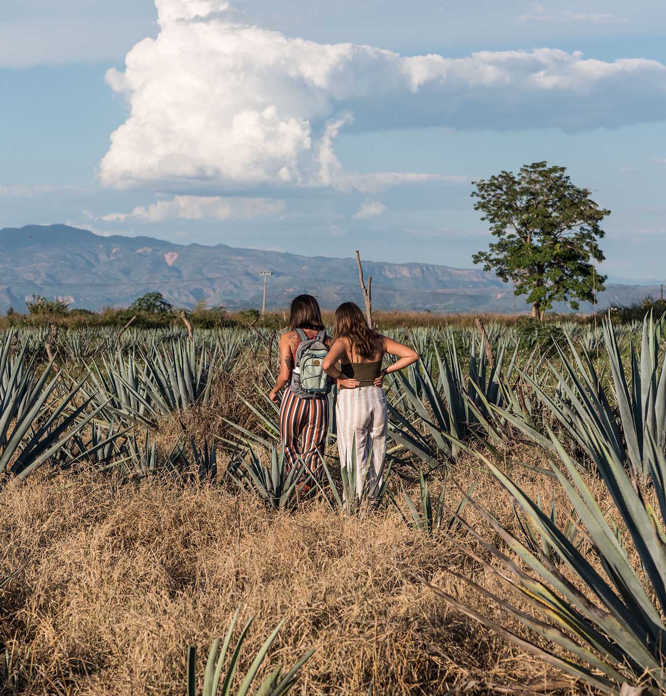 Breakups and mishaps thwarted my dream trip to Mexico. But 20 years later, I made it happen