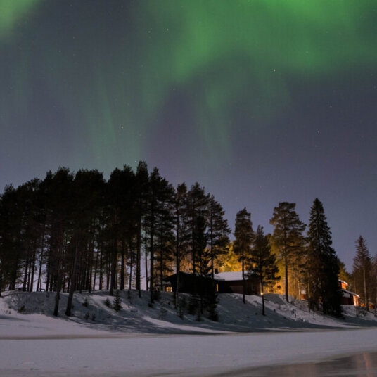 The Northern Lights above a silhouette of some trees