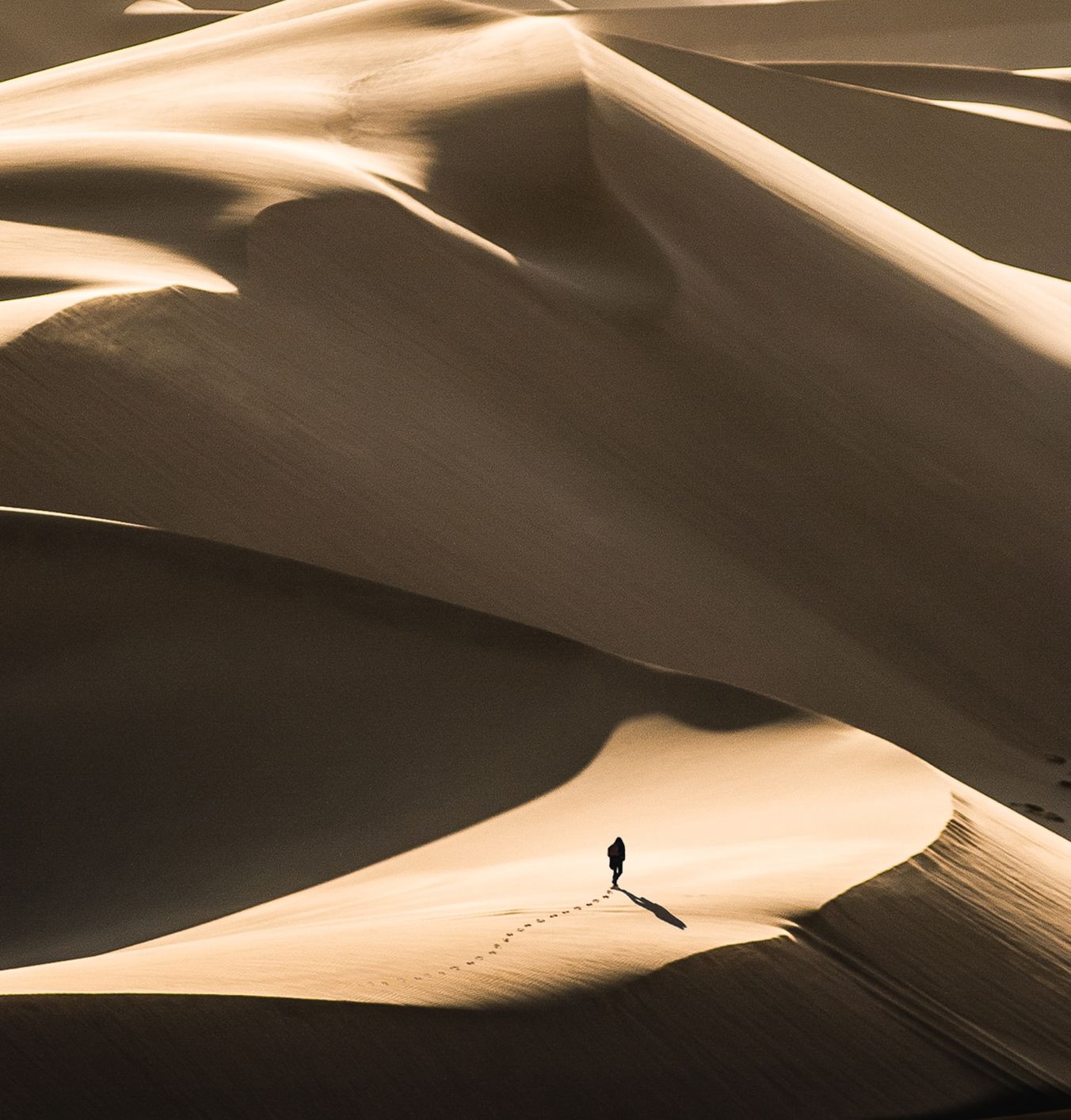 Loneliness is contagious – here’s how to beat it