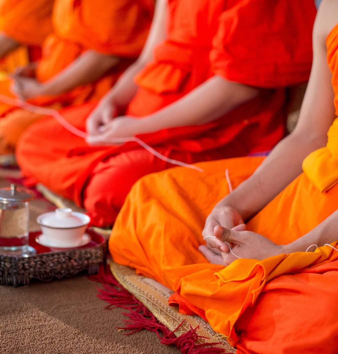 The world’s best countries for vegetarians