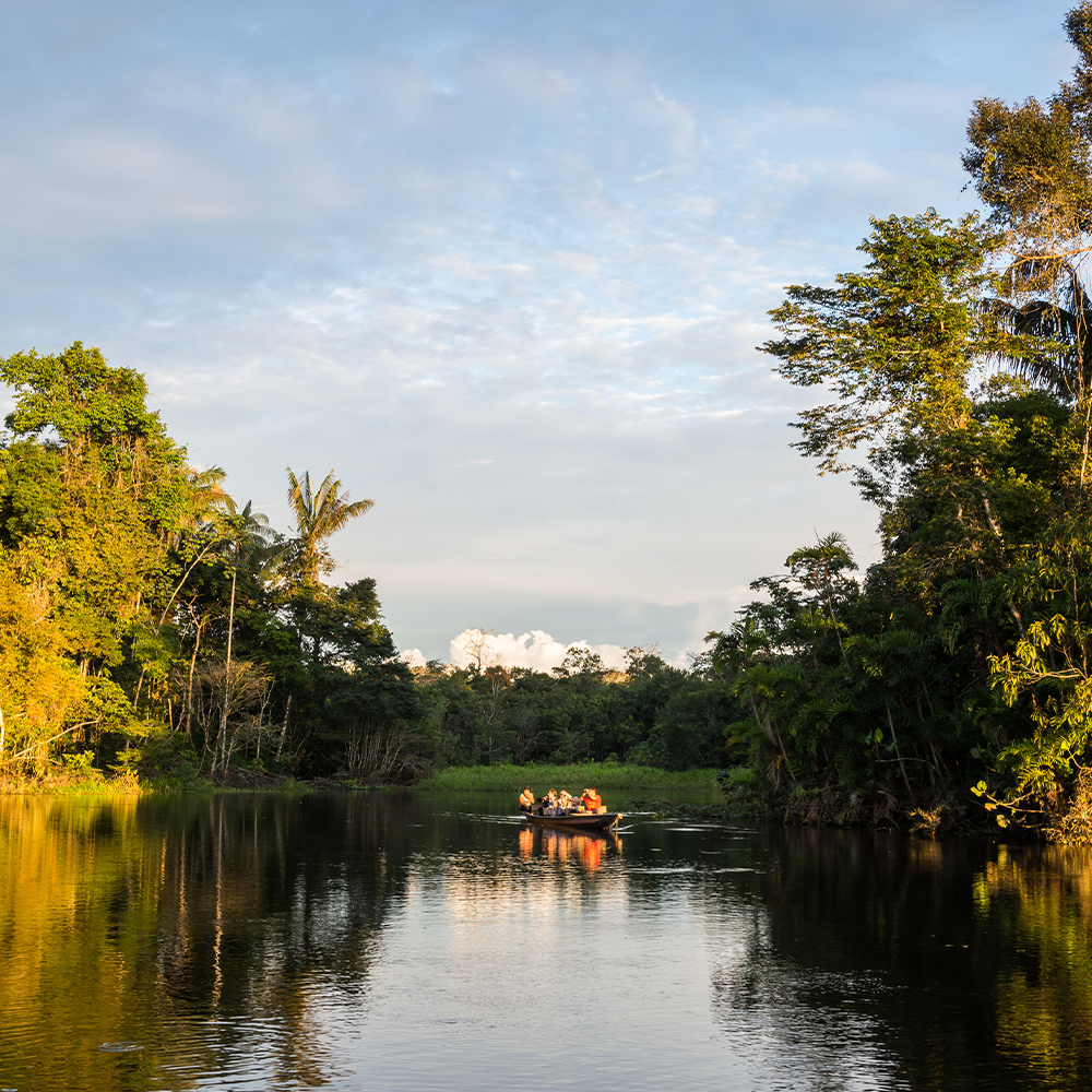 Brazil: Rio, Paraty & the Pantanal