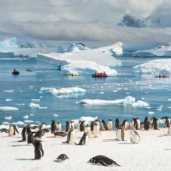 Meeting penguins in Antarctica