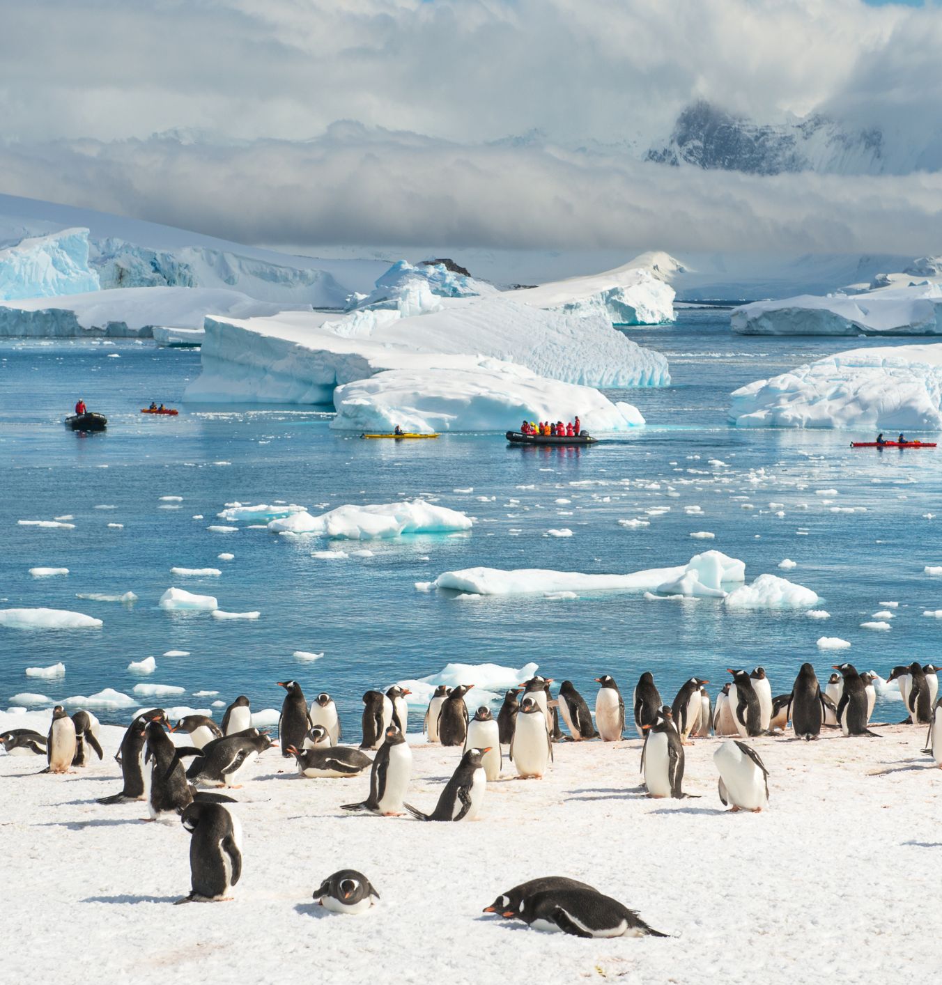 Antarctica: why the bottom of the Earth should be top of your bucket list