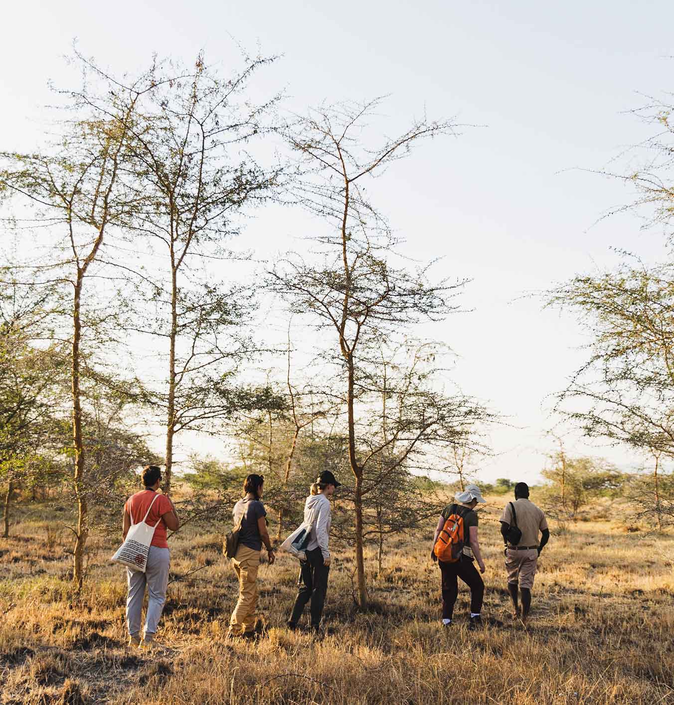 Best small group tours to East Africa