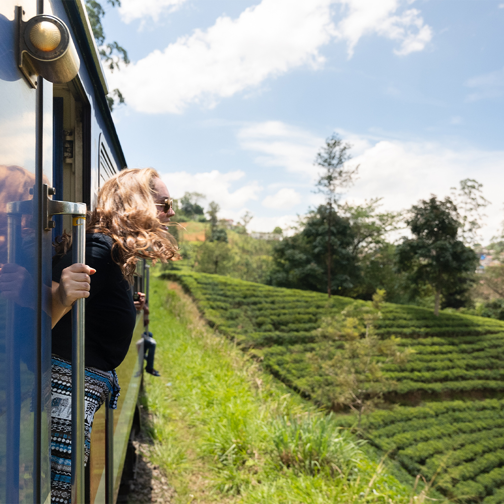 Best small group tours to Sri Lanka 2027