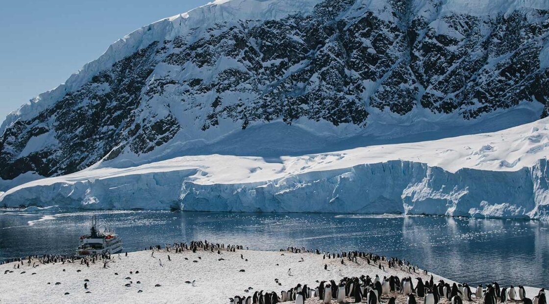 Penguins-in-Antarctica-