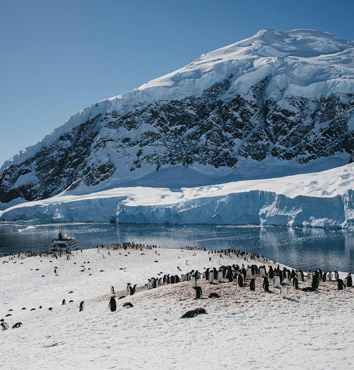 The ultimate solo travel guide to Antarctica: Everything you need to know