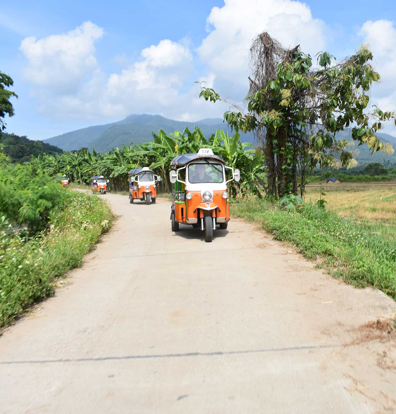The ultimate solo travel guide to Laos: Everything you need to know
