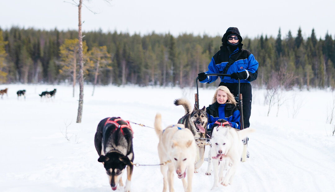Image of Winter Finland