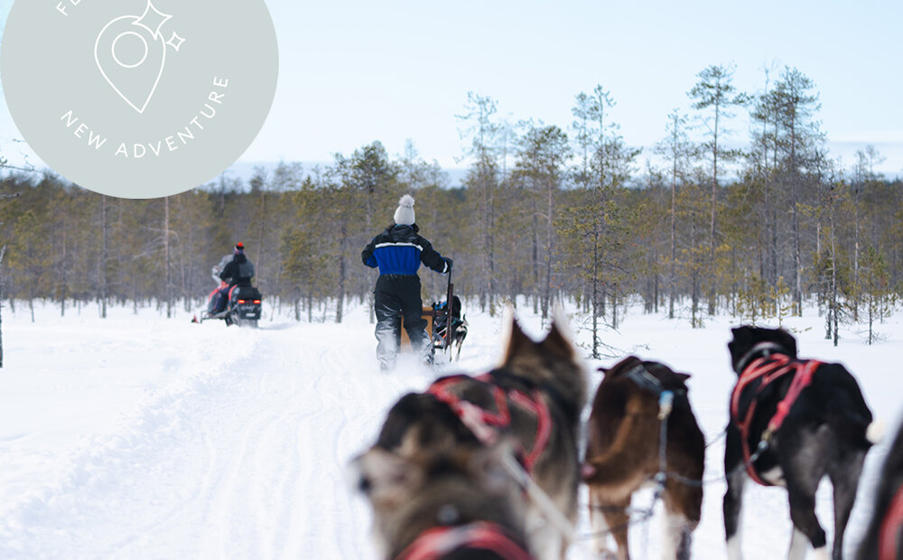 Image of Winter Estonia